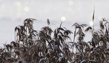 Синоптики объявили на сегодня оранжевый уровень опасности